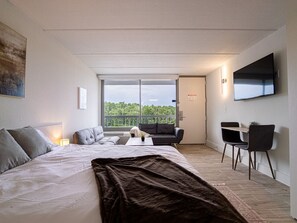 1 bedroom, desk, WiFi, bed sheets