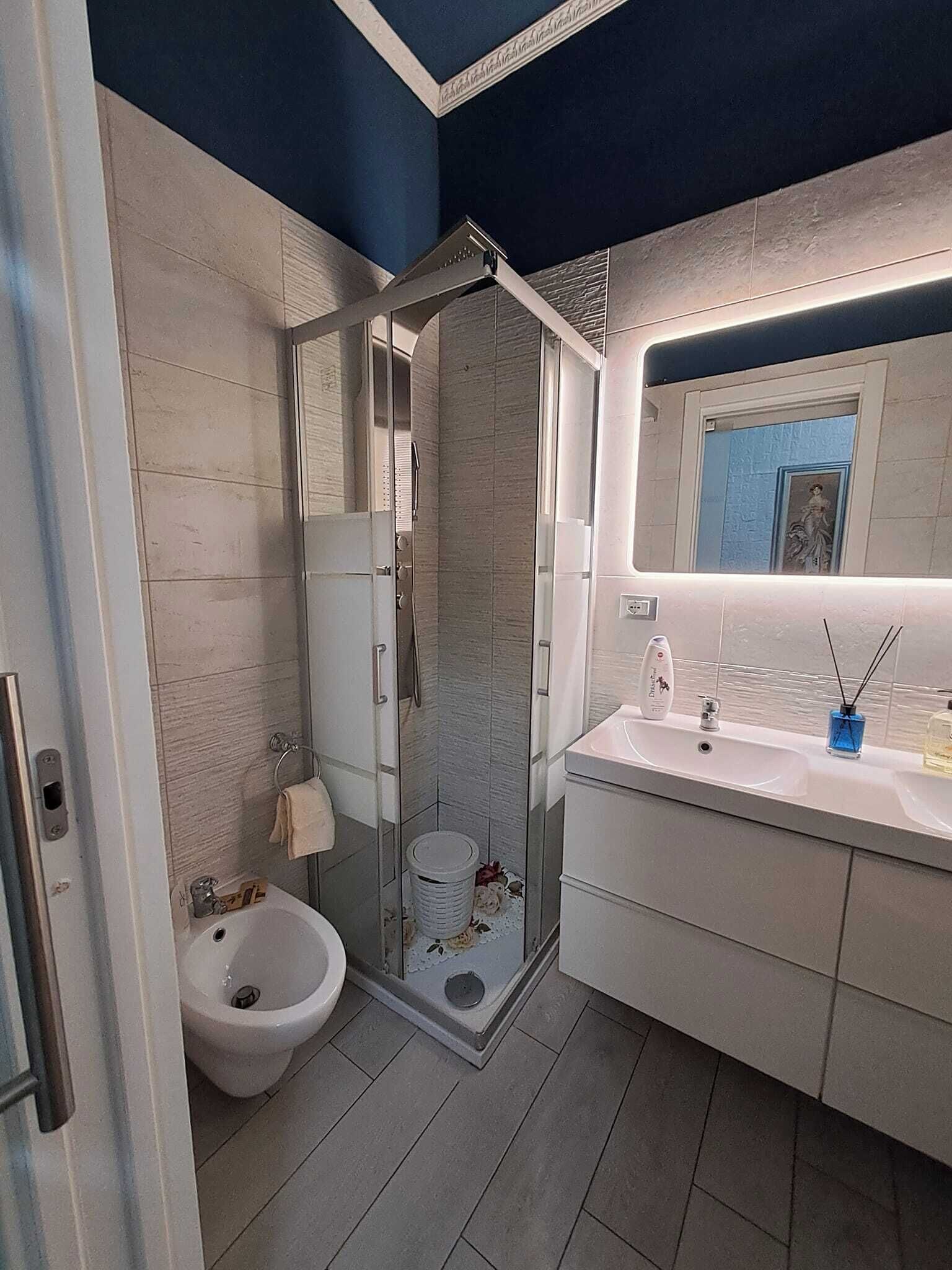 Dusche, Haartrockner, Bidet, Handtücher