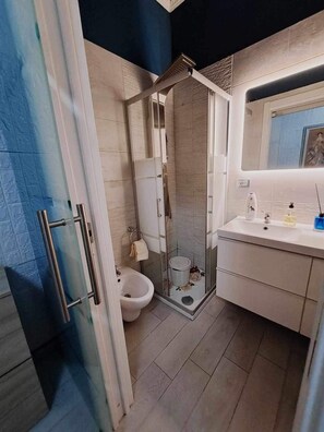 Een douche, een haardroger, een bidet, handdoeken