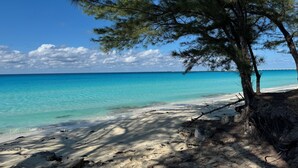 Una playa con agua turquesa cristalina, una orilla arenosa y un árbol.