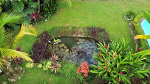 Een tuin met een vijver, diverse planten en een zwembad.