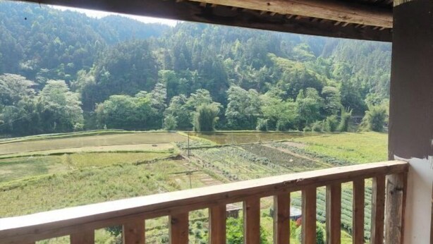 A view from a balcony with a wooden railing, overlooking terraced fields and a dense forested hillside. - Sanjiang Panjin Farmhouse (Sanjiang)