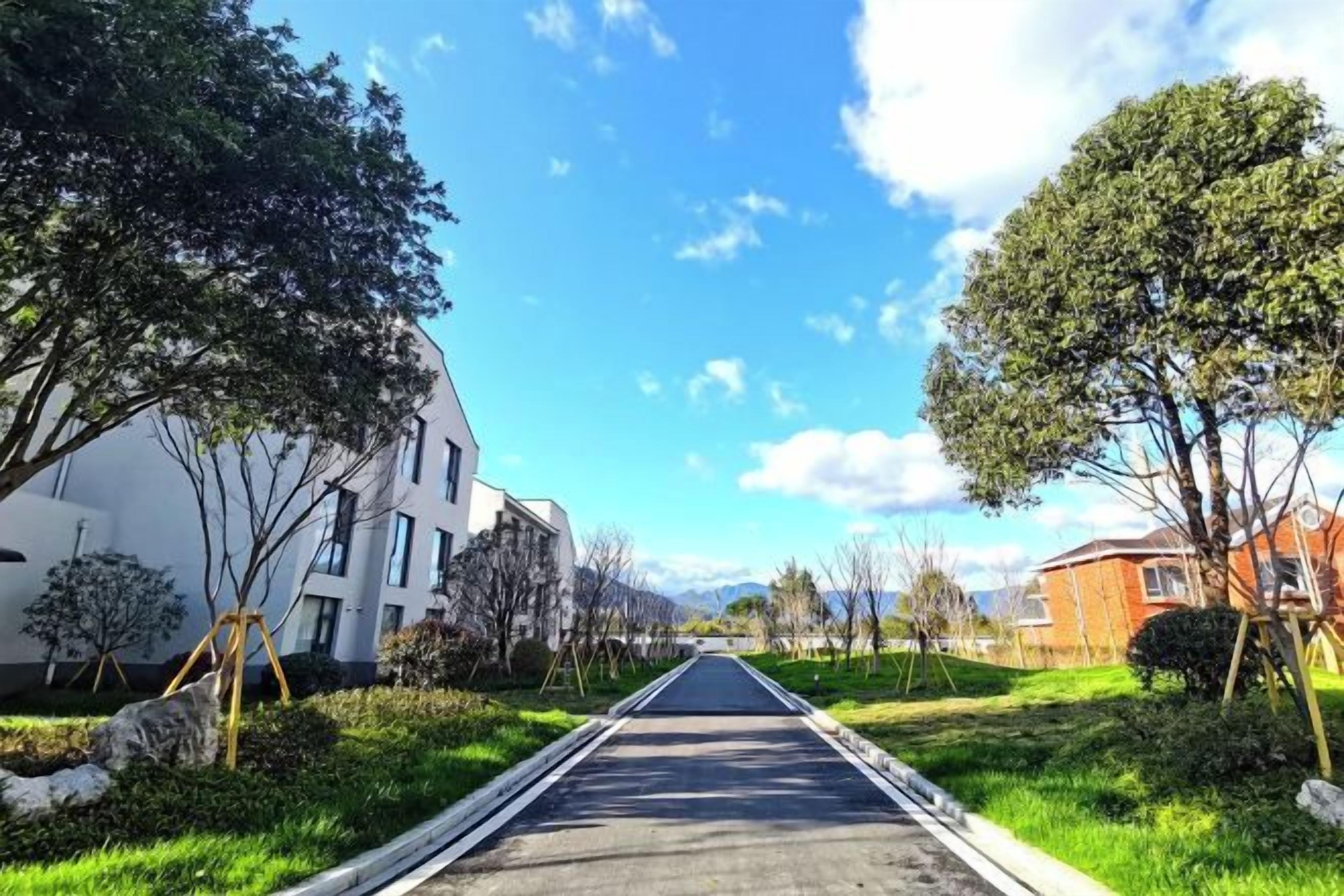 Een rechte weg, omzoomd door bomen en gebouwen, die leidt naar verafgelegen bergen.