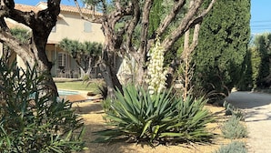 A garden with a pool, a large tree, and a building in the background. - Fantastic private villa with heated saltwater pool in Provence (Modène)