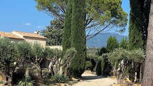 A garden pathway leading to a building with a tiled roof, surrounded by various trees and shrubs. - Fantastic private villa with heated saltwater pool in Provence (Modène)