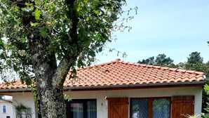 A courtyard with a large tree, outdoor seating, and a building with a tiled roof. - Le Splendide !!!!! (Lévignacq)