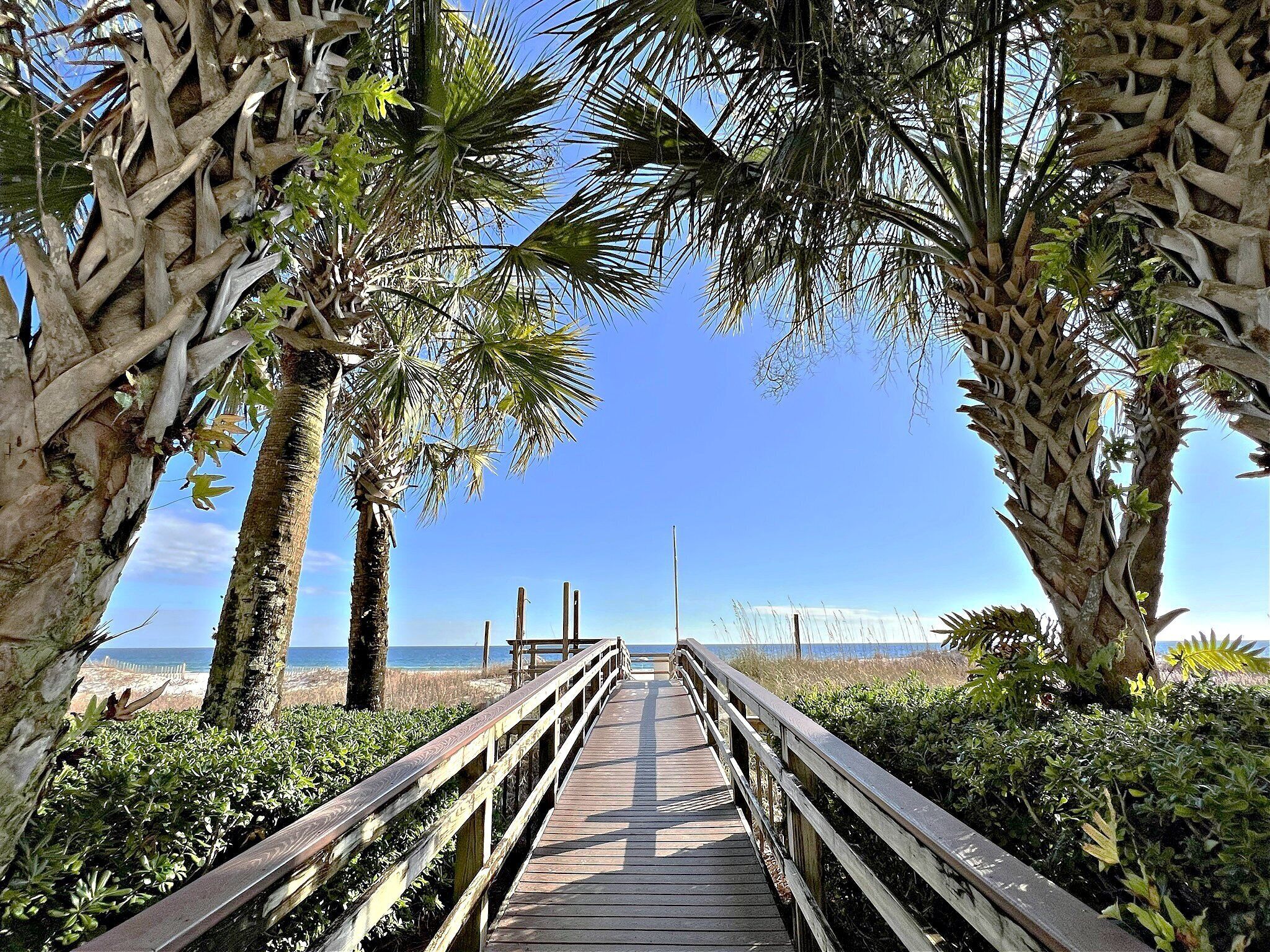 A wooden boardwalk leading to a beach with palm trees and clear skies.