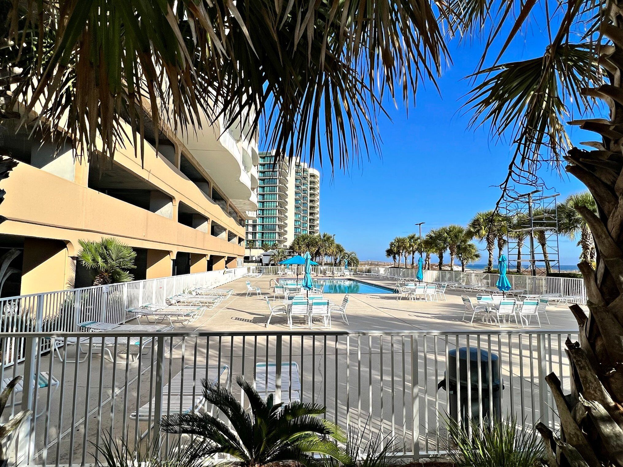 A hotel pool area with sun loungers, a clear blue sky, and palm trees.