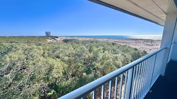 House, Multiple Beds, Balcony, Ocean View (Gulf Shores Plantation 1305) | Property grounds