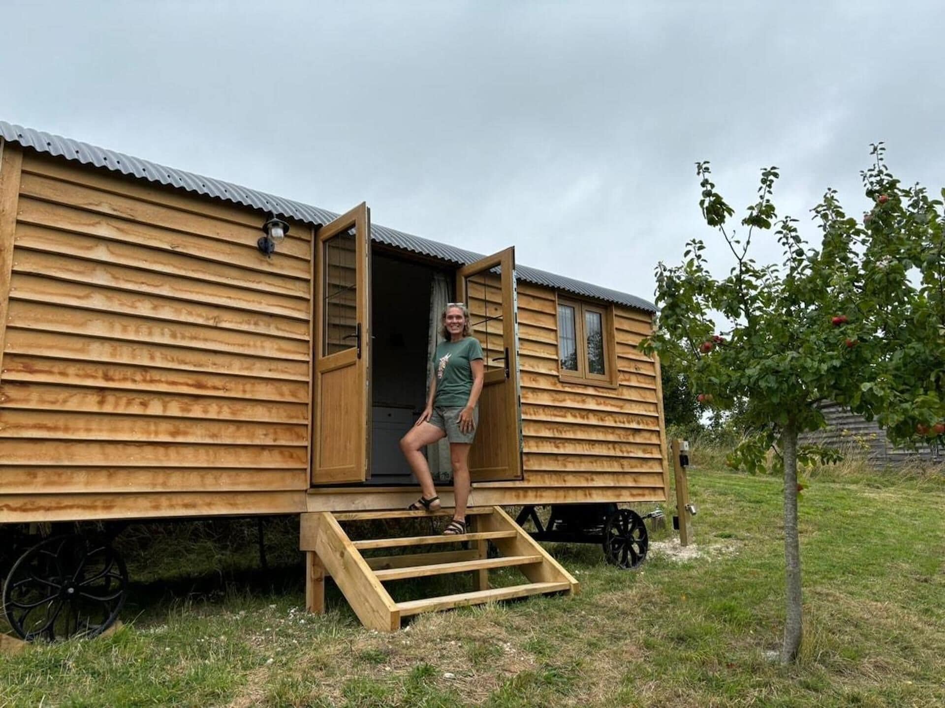 Cabin | Khuôn viên nơi lưu trú