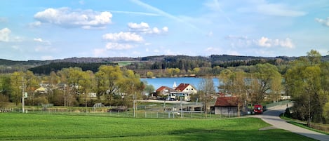 Sekalaista