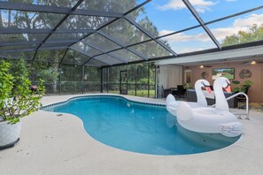 Outdoor pool - Private swimming pool, nearby beach, fishing, kayaking, boat ramp down the road. (Crystal River)