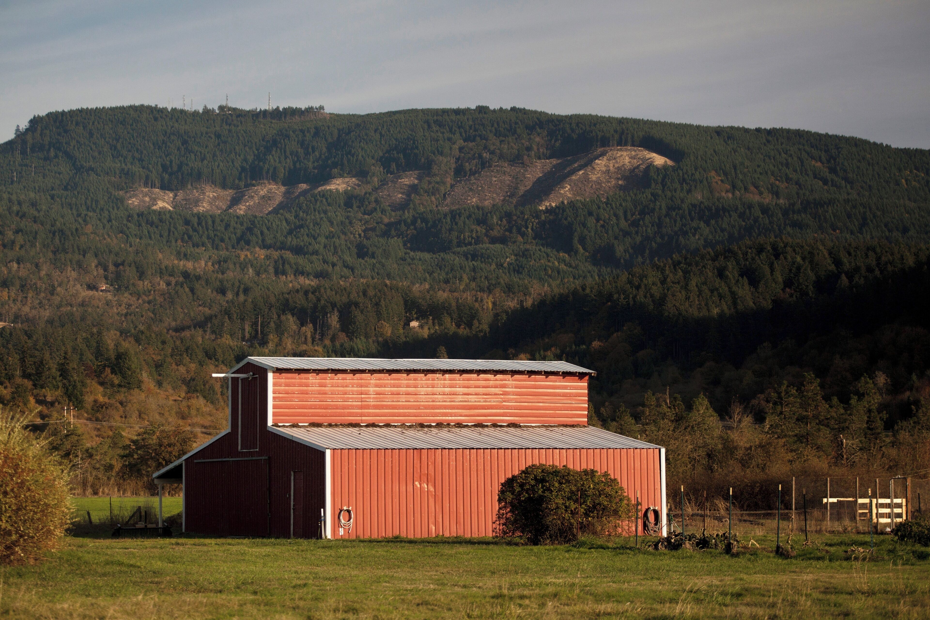 A red barn with a metal roof, surrounded by a grassy field and a forested hill in the background.