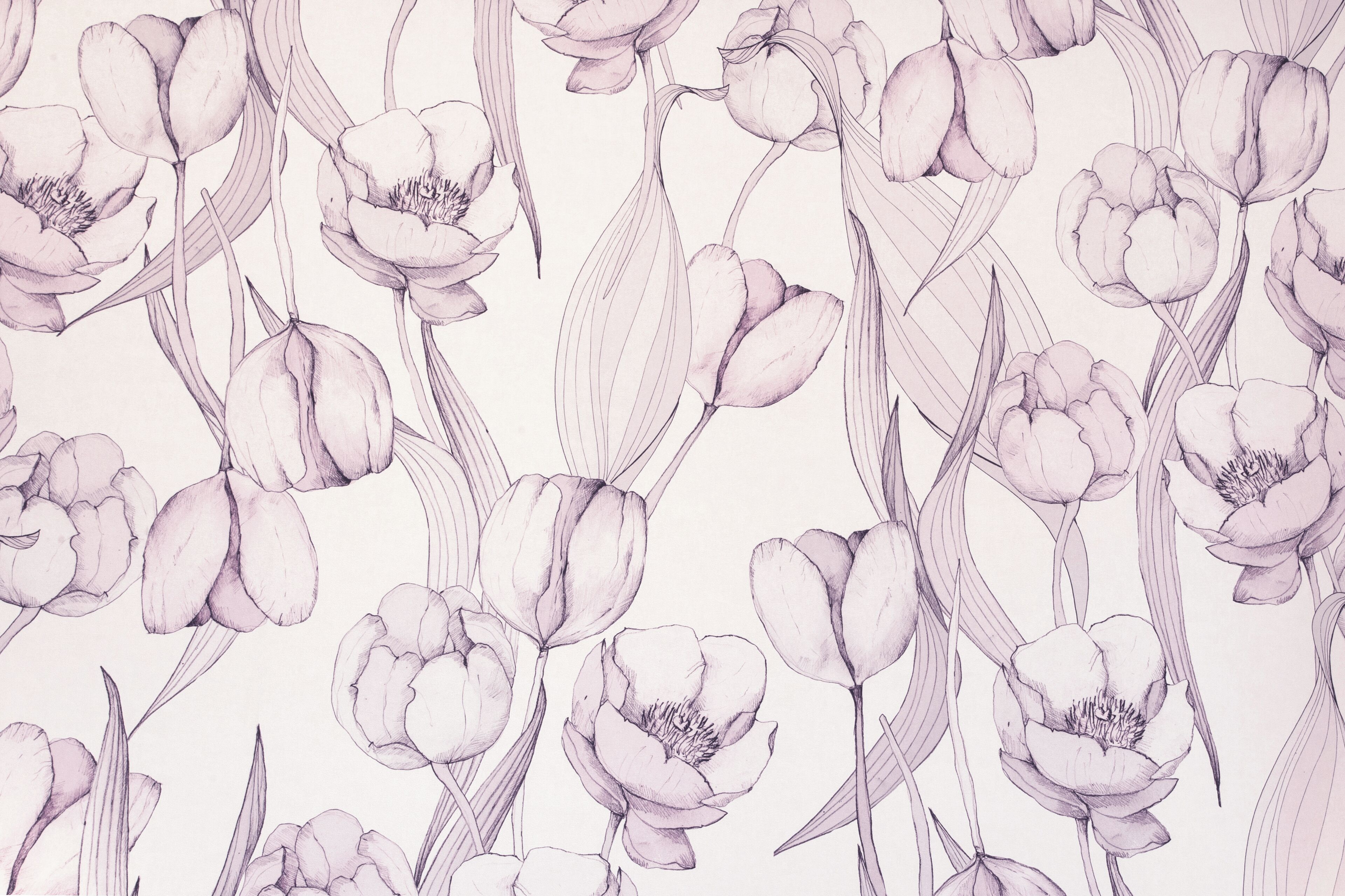 A pattern of tulips on a white background.