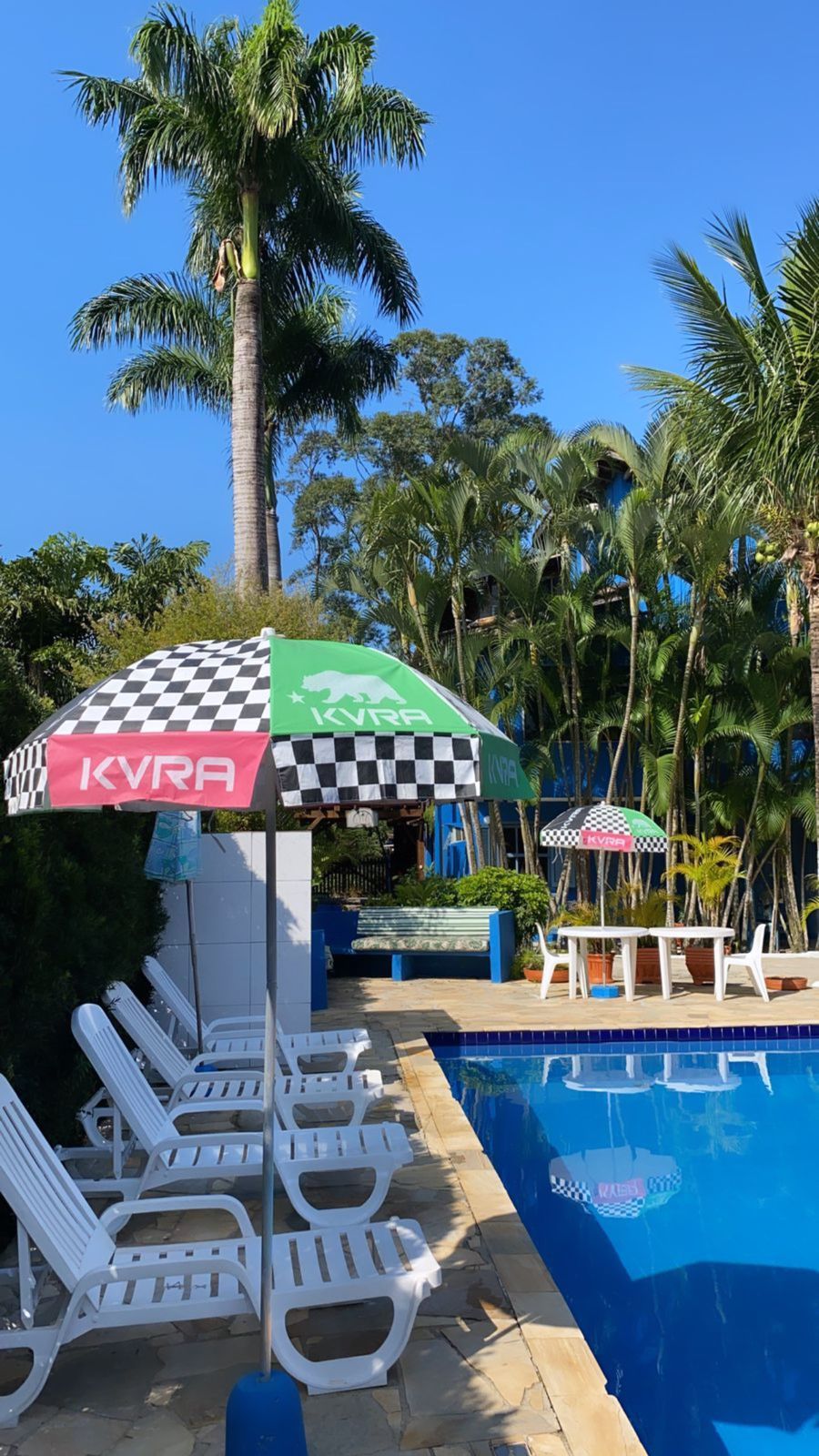 A poolside area with lounge chairs, a checkered umbrella, and palm trees in the background.