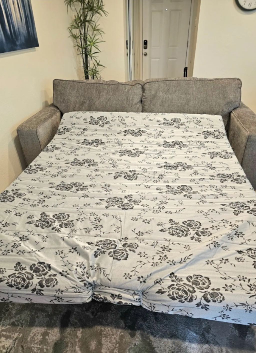 A bed with a floral-patterned bedspread and matching pillows, a potted plant, and a door in the background.