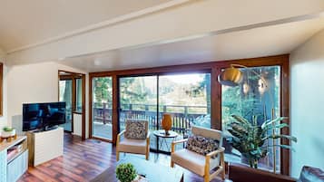 TV, fireplace, books