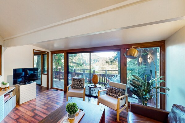 TV, caminetto, libri