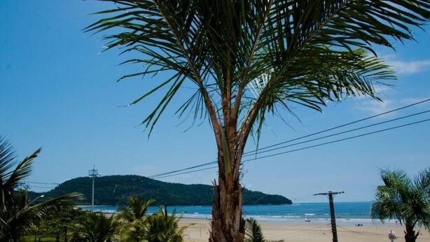 A beach with palm trees and a clear sky. - Pousada Nascimentos (Bertioga)