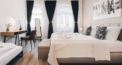 Wohnen mitten in Meißen | 2 Min Altstadt | Gratis Parkplatz | 75 qm