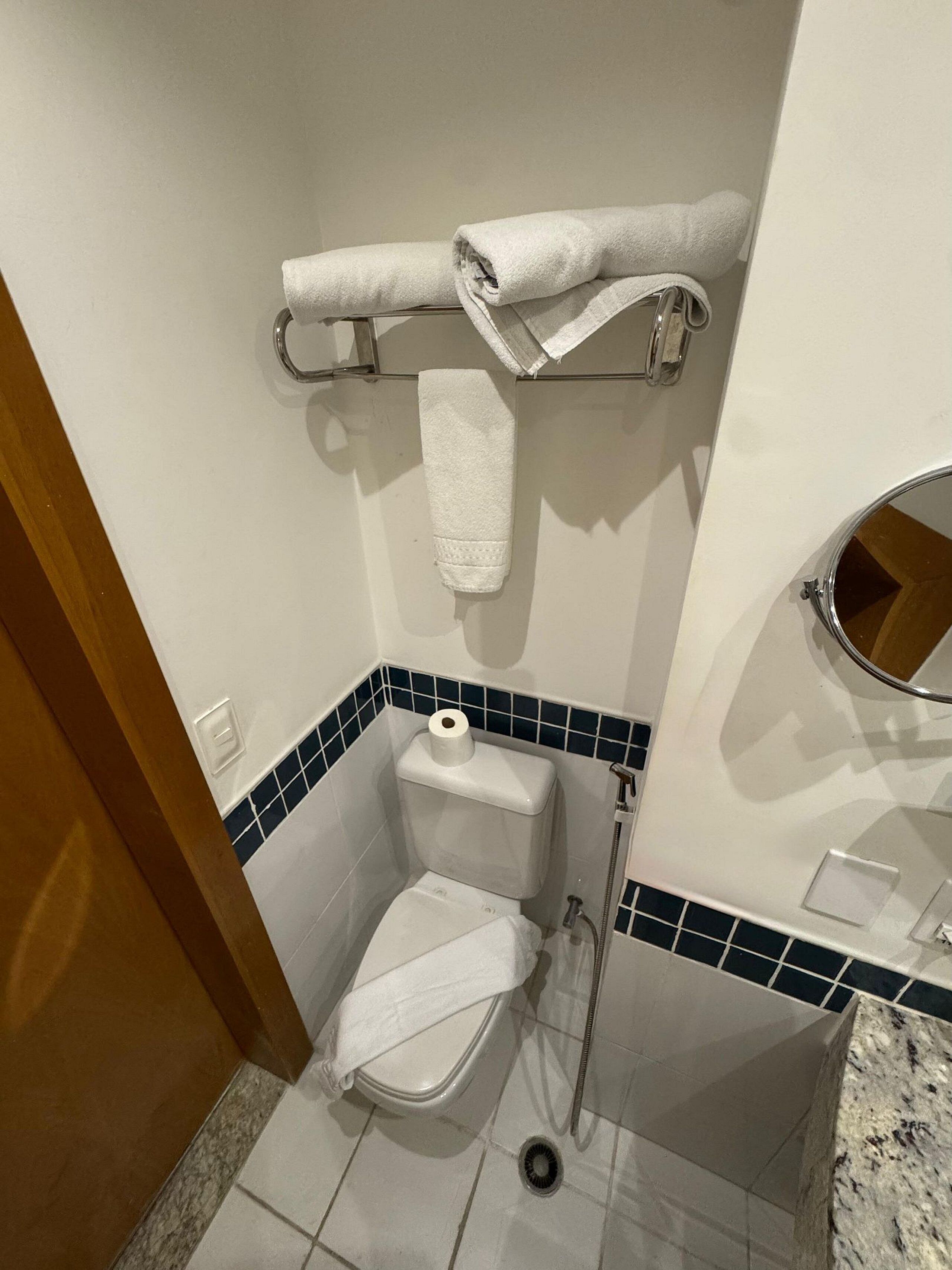 Een kleine badkamer met toilet, douche en een handdoekrek met twee handdoeken.