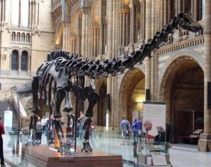 Photo non classée, 5 sur 67, bouton