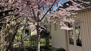 A house with a garden, a fence, and a tree with pink blossoms.