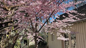 Dobbeltrom – deluxe, terrasse, hageutsikt | Sengetøy i egyptisk bomull og sengetøy av topp kvalitet