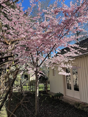 Deluxe Double Room, Patio, Garden View | Egyptian cotton sheets, premium bedding, pillow-top beds, in-room safe - Nouveau - En plein centre de l'Isle Adam (L'Isle-Adam)