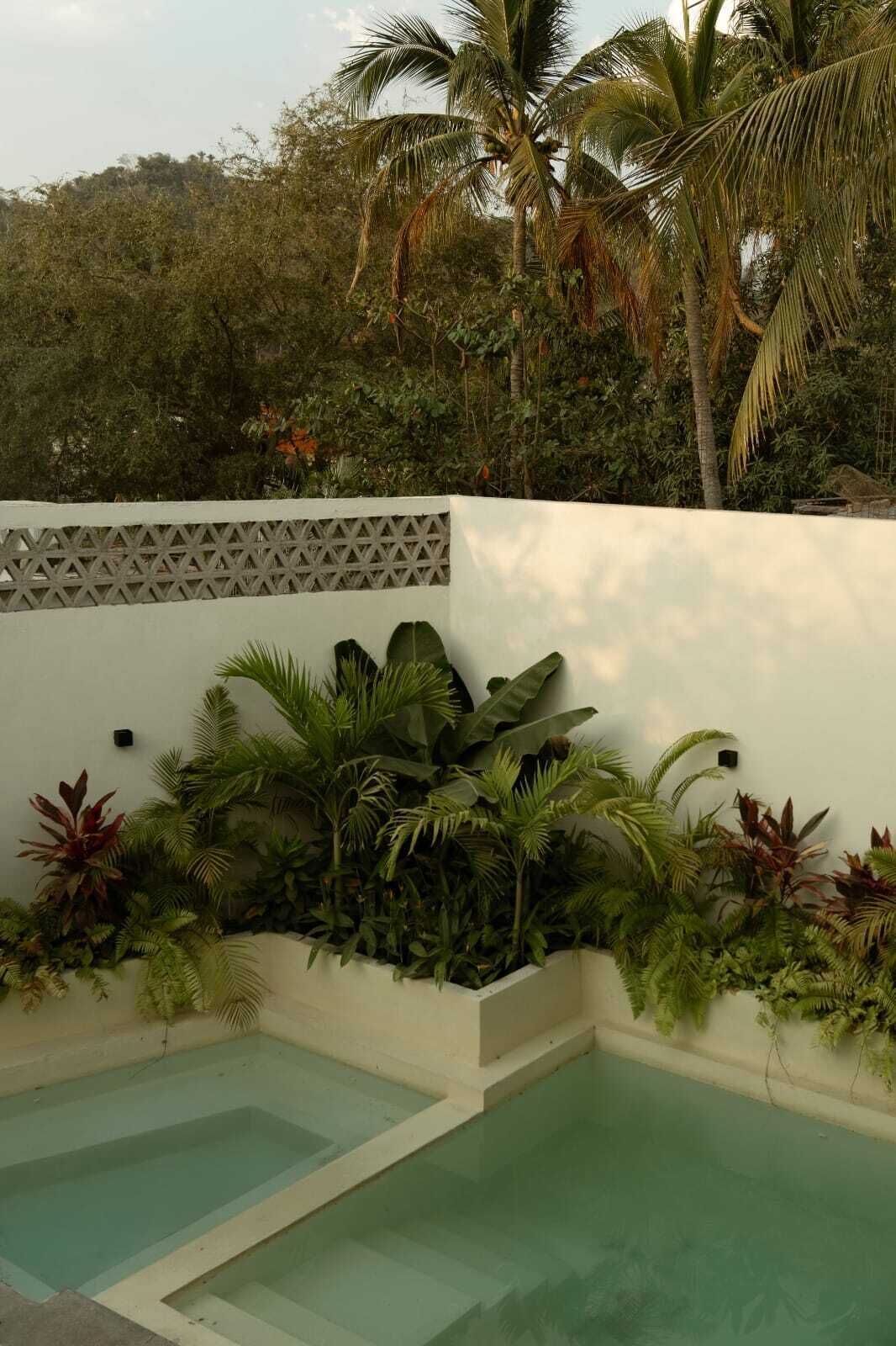 Ein Poolbereich mit üppigen tropischen Pflanzen und einer weißen Wand.