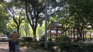 A paved pathway lined with trees and a gazebo-like structure with a roof.