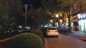 A nighttime street scene with a parked car, trees, and illuminated storefronts.