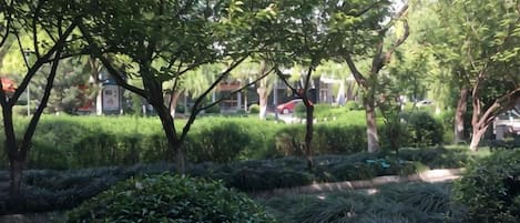 Un jardín ajardinado con setos y árboles bien cuidados.
