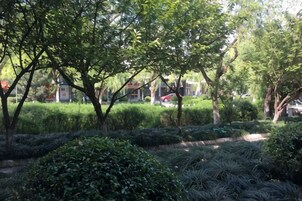 Un jardín ajardinado con setos y árboles bien cuidados.