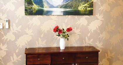 2-bedroom apartment in charming GyĆr with AC, WiFi. Enjoy your stay