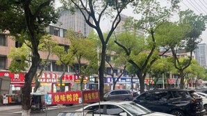 A street scene with parked cars, trees, and storefronts with red signage. - Daying Hotel (Ningbo)