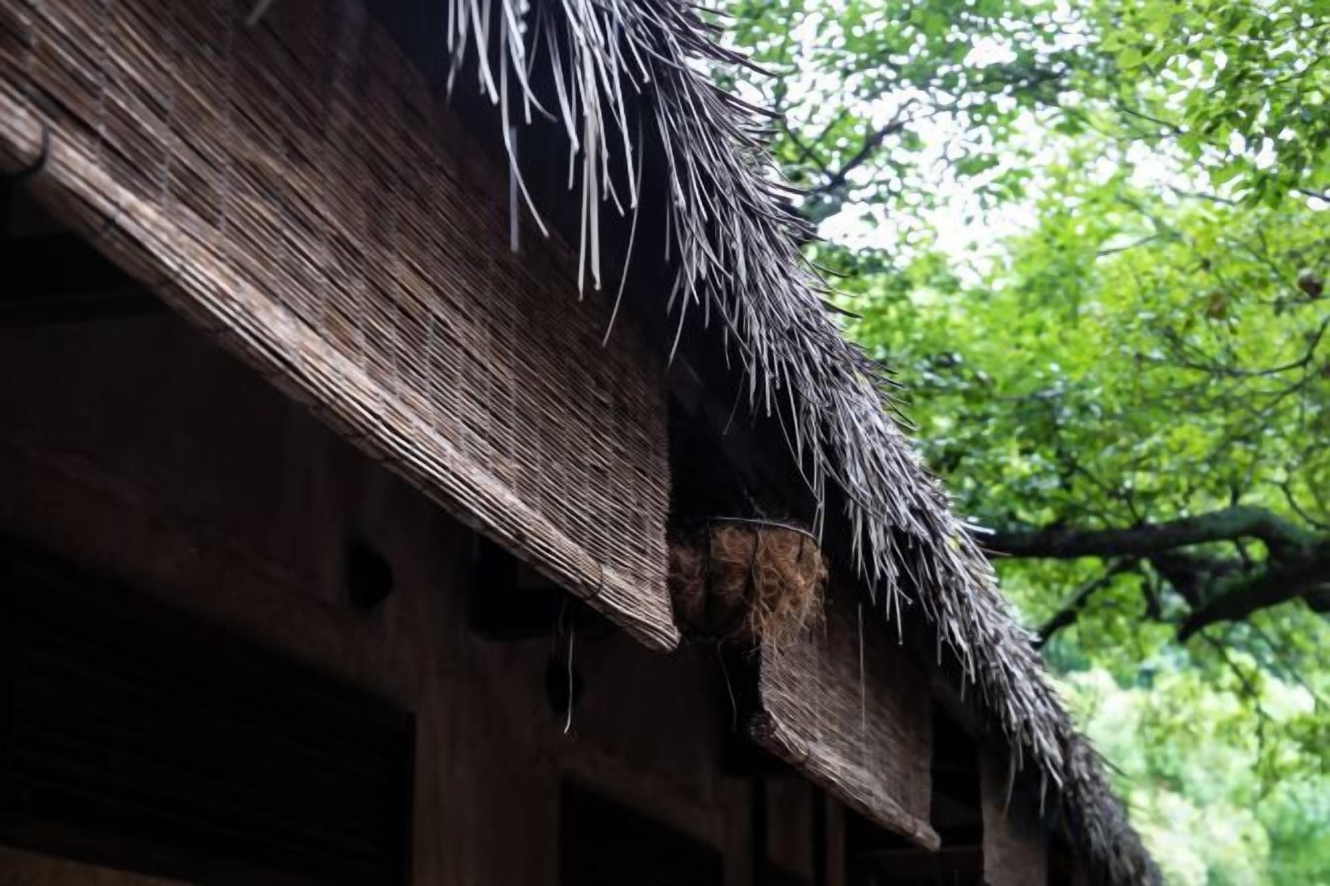 A thatched roof structure with visible wooden beams and a window.
