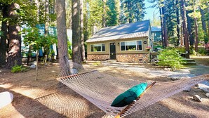 Eine Holzhütte mit Steinunterbau und Metalldach, umgeben von hohen Bäumen und einer Hängematte mit Kissen.