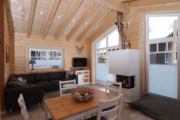 Smart TV, fireplace, DVD player, video library