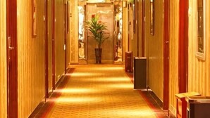 Un couloir d’hôtel avec des lambris en bois, une moquette à motifs et une plante en pot.