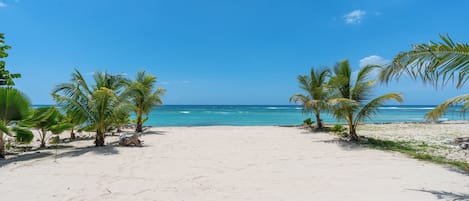 Playa
