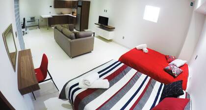 Hermoso Lof't 4 Familiar, Centro DE LA Ciudad, AC, Wifi, Garage