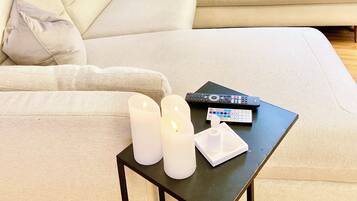 TV, fireplace, books