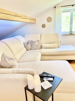 Fernseher, Kamin, Bücher