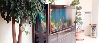 Tongda Business Hotel
