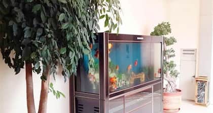 Tongda Business Hotel