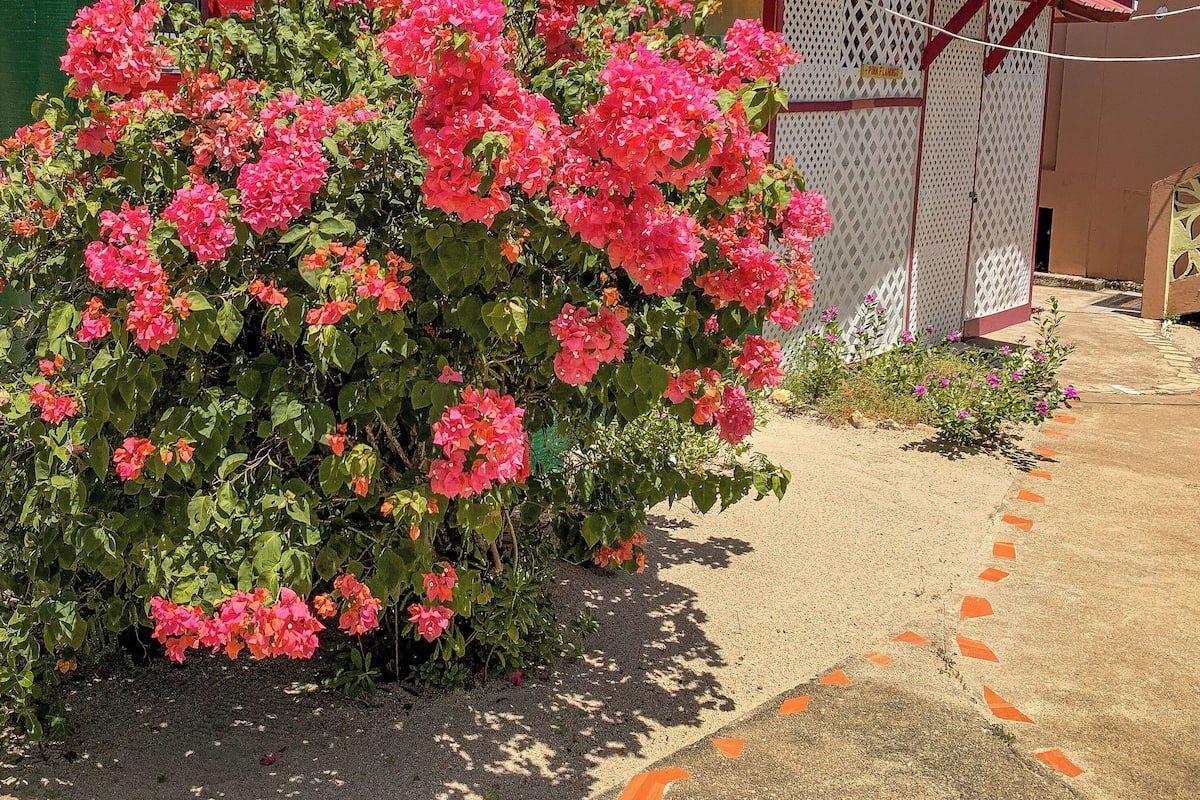 Bungalow, patio, uitzicht op tuin | 1 slaapkamer, gratis wifi, beddengoed