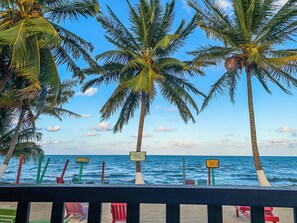 A beach with palm trees and a sign indicating a designated area for snappers. - Sandpiper Beach Cabanas (Hopkins)