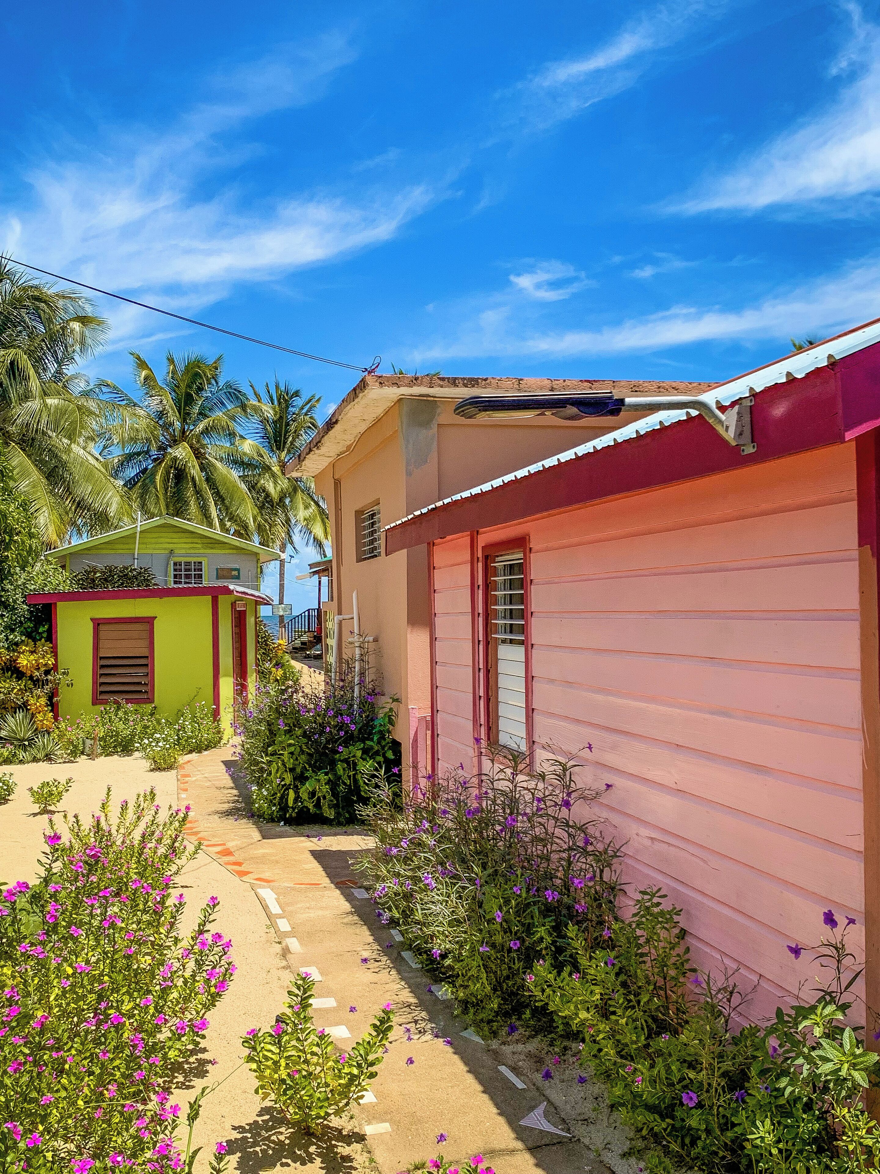Bungalow, Patio, Garden View | Terrace/patio