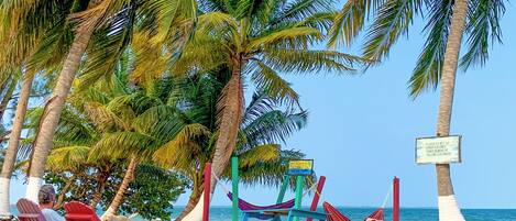 A beach with red and blue beach chairs, a hammock, and a sign warning about coconut falling.